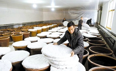 釀造食醋奔富路，食品銷售創(chuàng)輝煌——傳統(tǒng)技藝與現(xiàn)代市場的完美融合